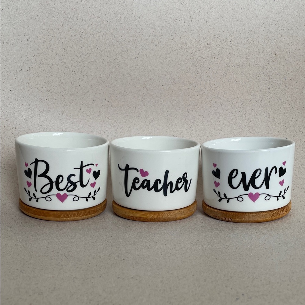 Best Teacher Ever White Ceramic Planter Set with Pink Accents